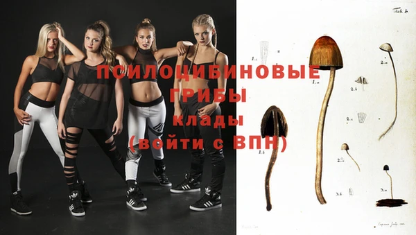 стафф Белоозёрский