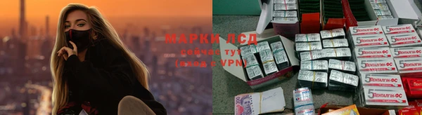 крисы Приозерск