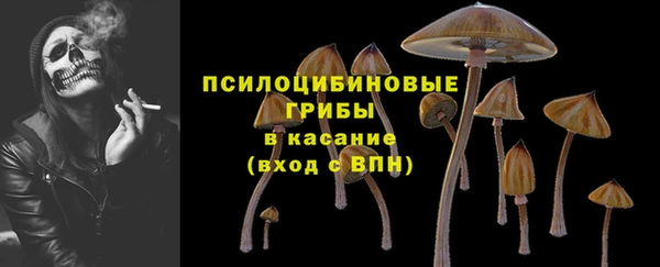 крисы Приозерск