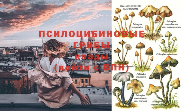 трава Беломорск