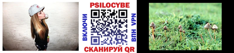 цены это состав Галлюциногенные грибы мухоморы Андреаполь